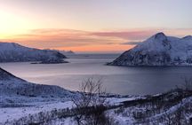 Fjords Tour with campfire and photos
