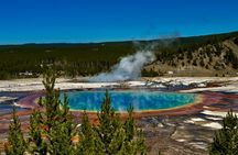 Full Day Private “Pet Friendly” Yellowstone Tour From Cody Wyo!