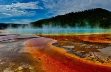 Yellowstone “Glass Top & Convertible” Van Tour W/Lunch & Souvenir