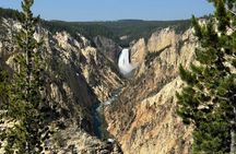 Yellowstone “Glass Top & Convertible” Van Tour W/Lunch & Souvenir