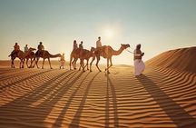 Qatar: Sunrise or Sunset Desert Tour in Doha, unforgettable trip