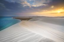 Doha Safari Adventures, Dune Bashing, Sand Buggy, Camel Ride Tour
