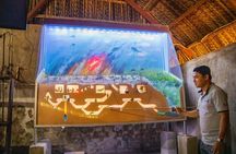Private Cu Chi Tunnels and Ho Chi Minh City Full Day Trip