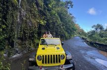 Private Road to Hana Maui Open-Air Jeep Tour