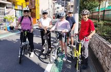 Tokyo downtown bicycle tour Tokyo Backstreets Bike Tour