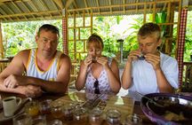Private Full Day Bali Tour