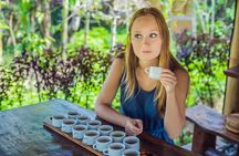 Private Full Day Bali Tour