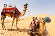 Sunrise Safari in Abu Dhabi's Desert