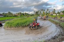  Ubud Bali ATV Quad Bike Adventure