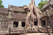 Two Day Tour, Taxi Phnom Penh to Siem Reap, Angkor Visit & Return