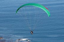 Private Tour: Cape of Good Hope and Boulders Beach Penguin Tour