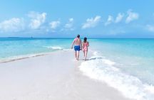 Prison Island and Sandbank tour with BBQ Lunch