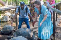 Prison Island and Sandbank tour with BBQ Lunch