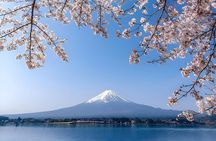 Peaks & Peace: Mt. Fuji, Fuji Stupa & Hakone Tour