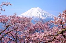 Peaks & Peace: Mt. Fuji, Fuji Stupa & Hakone Tour