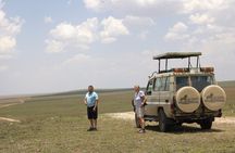 2 Days Tarangire and Ngorongoro Fly in From Zanzibar