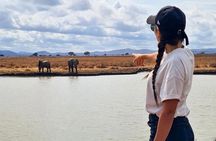 2 Days Tarangire and Ngorongoro Fly in From Zanzibar