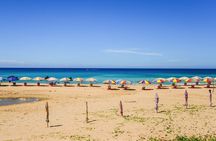 Kenting and Pingtung Popular Sightseeing Spot Tour From Kaohsiung