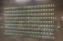 Giza Pyramid with Grand Egyptian Museum Tour