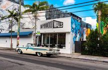 Wynwood Walls Admission and Neighborhood Buggy Experience