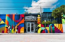 Wynwood Walls Admission and Neighborhood Buggy Experience