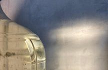 Cultural Tasting of 3 Roots in Puerto Vallarta