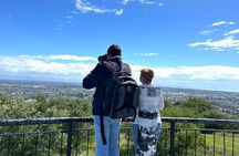 Christchurch City Top Sights Half Day Tour(Small Group Tour)