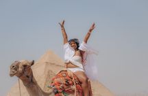Explore highlights of Pyramids , the Egyptian Museum & Citadel