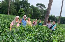 Bavi Eco Tour: Immerse in Authentic Village Life Outside Hanoi
