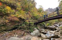 One-Day Tour for stunning Mt.Seoraksan from Seoul