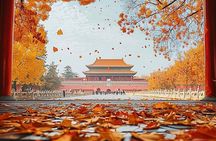 Historical relaxing tour of forbidden city