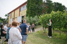 Valeggio: Perlage d'Autore, a journey through bubbles of excellence