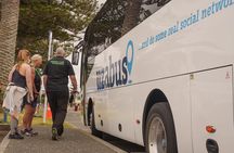 TAURANGA City & Scenic Sightseeing 2-hour Local Bus Tour