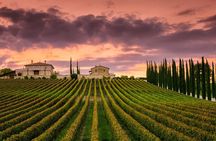 from Rome Montepulciano and Montalcino, the Wine Routes