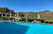 Cape Town Full Day Big 5 Game Reserve Safari with Lunch