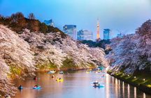 Customizable Private Tokyo Tour with an English-speaking Driver 