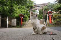Kamakura Samurai Legends Shrines and the Great Buddha