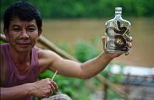 1-Day Luang Prabang: Waterfall,Caves,Mekong,Village-All Inclusive