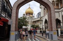 Private Customized Walking Tour in Singapore (Eng/Español)