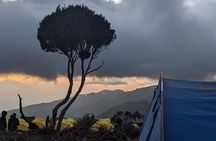 6 Days Trekking - Machame Route - Kilimanjaro