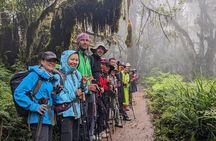 Lemosho Route 7 Days Trekking at Mount Kilimanjaro