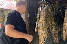 Afternoon Silk Island, Escape Phnom Penh & Temple by Tuk Tuk