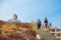 5 Day Eastern Newfoundland Tour