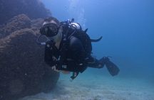 From Dubai: 3 Dives in Fujairah with BBQ Lunch and Transfer