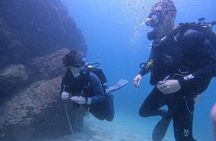 From Dubai: 3 Dives in Fujairah with BBQ Lunch and Transfer