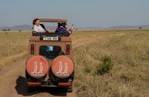8 Days Private Camping Safari