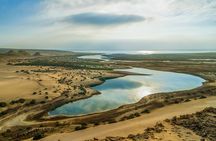 Explore Fayoum A Captivating Day Trip to Egypt's Hidden Oasis