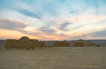 Explore Fayoum A Captivating Day Trip to Egypt's Hidden Oasis