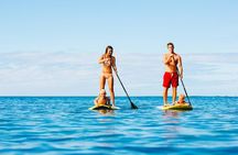 Guided Stand Up Paddleboard Tour from Margaritaville