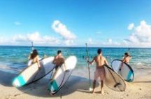 Guided Stand Up Paddleboard Tour from Margaritaville